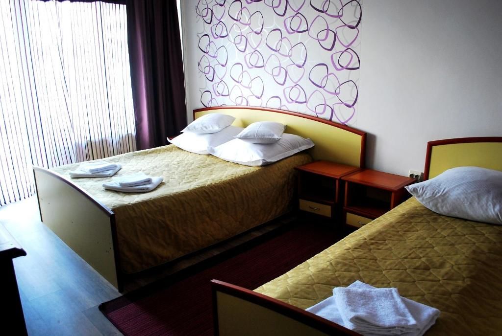 Отели типа «постель и завтрак» Vila Meteor Клуж-Напока-49