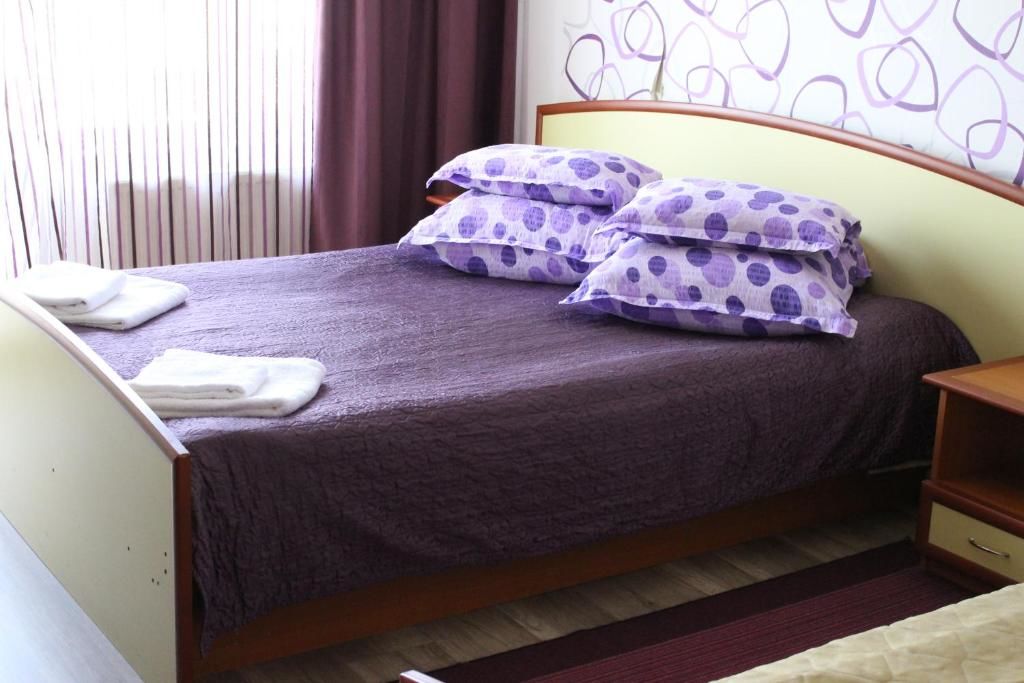 Отели типа «постель и завтрак» Vila Meteor Клуж-Напока-53