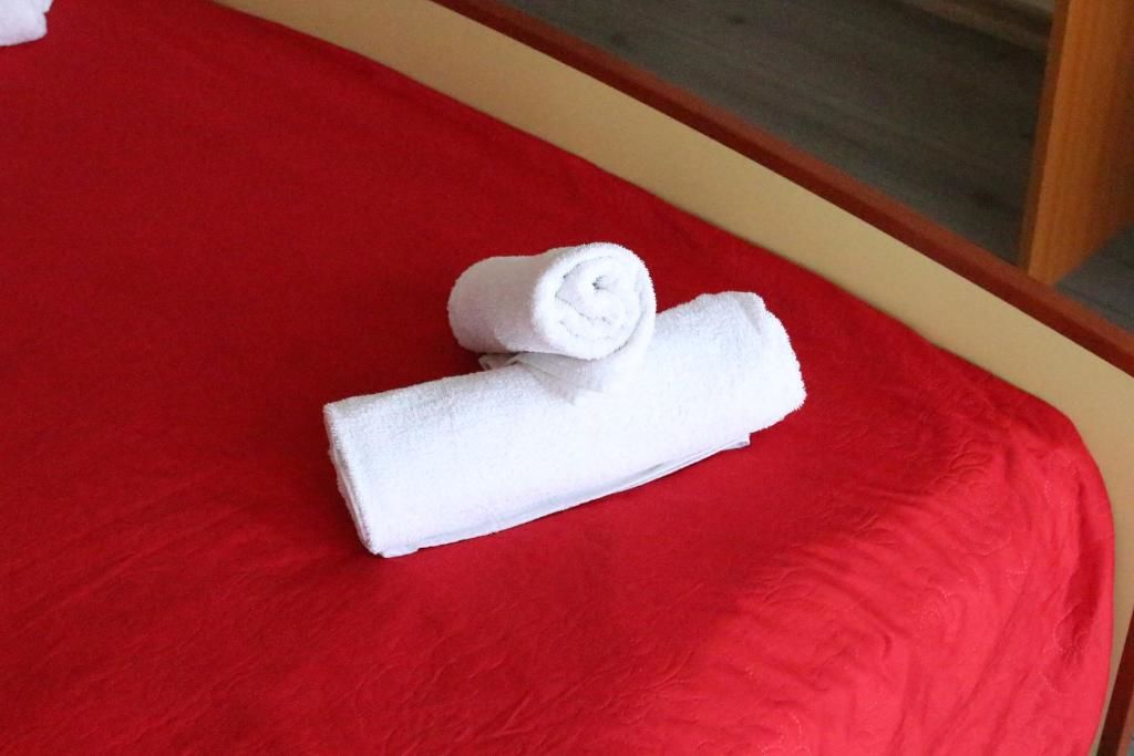 Отели типа «постель и завтрак» Vila Meteor Клуж-Напока-55